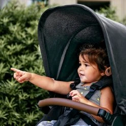 ABC Design Kombikinderwagen Salsa 4 Storm -Chicco shop abc design kombikinderwagen salsa 4 storm 3