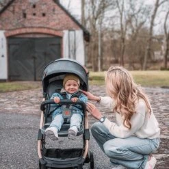 Momi Buggy ESTELLE, Gray- Gold -Chicco shop momi buggy estelle gray gold 2