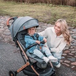 Momi Buggy ESTELLE, Gray- Gold -Chicco shop momi buggy estelle gray gold 3